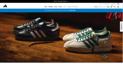 Screenshot from Adidas' Website with Changes